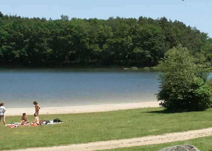 Кемпинг Mobil Pour 6 Personnes Avec Terrasse - Api-1-52-1310 Saint-Gerons