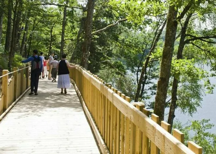 Кемпинг Mobil Pour 6 Personnes Avec Terrasse - Api-1-52-1310 *